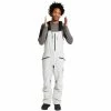 AK Burton Gore-Tex Freebird Bib Skihose Lunar Gray Herren