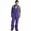 AK Burton Gore-Tex Cyclic Bib Snowboardhose Prism Violet Herren